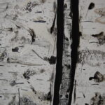 Nature paintings