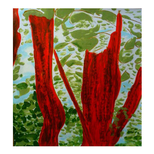 Art on nature